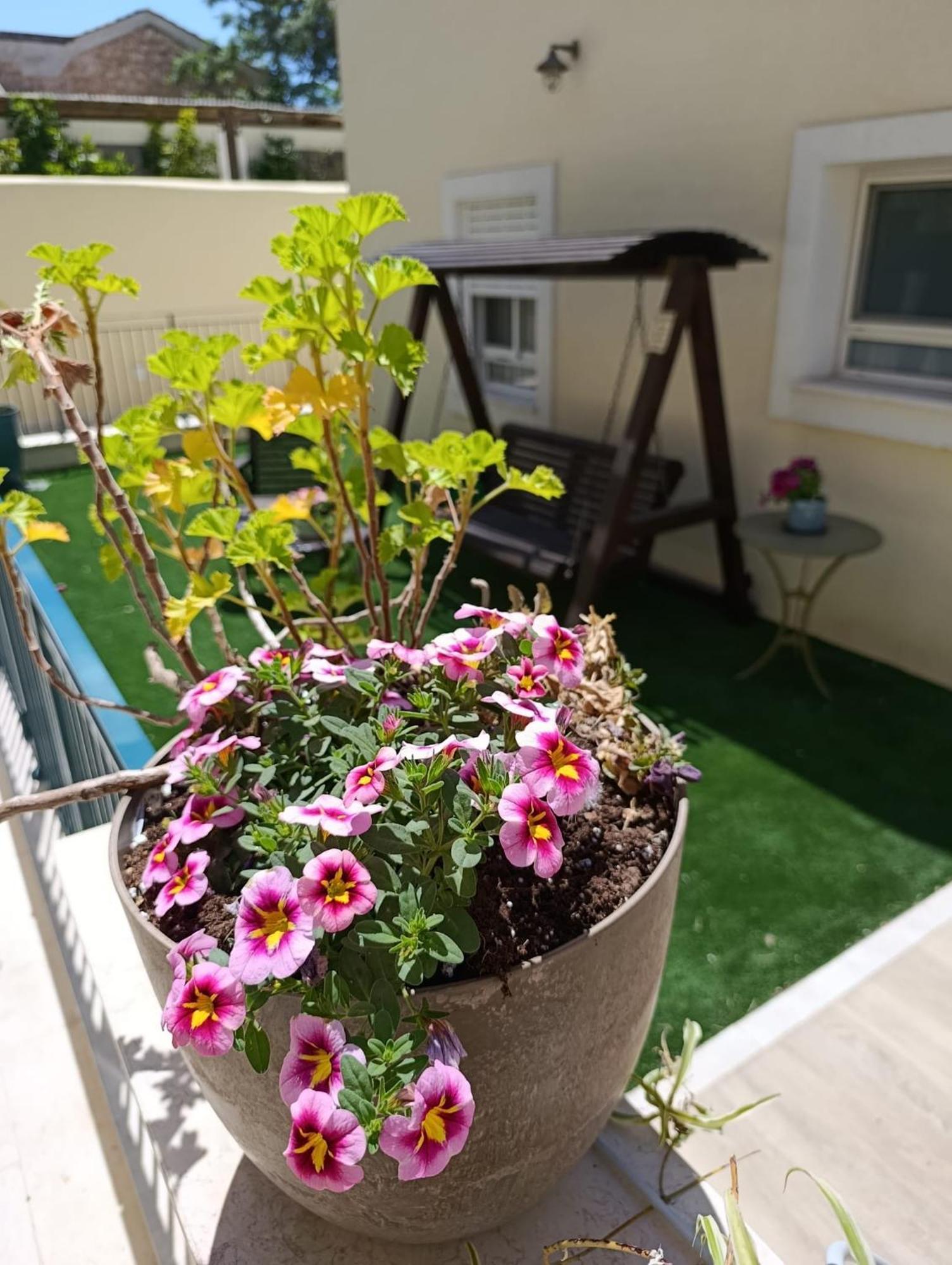 49 Boutique Vila Zihron Yaakov Quarto foto